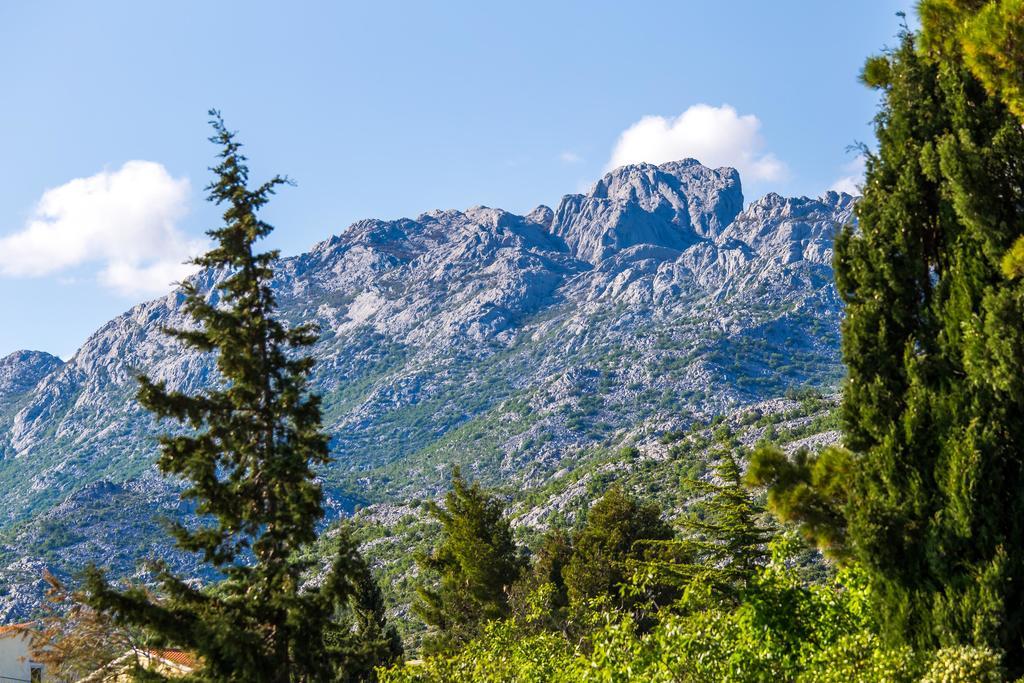Villa Veca Starigrad Paklenica Exterior foto